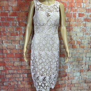 Bisou Bisou Blush Pink Lace Illusion Sheath Dress